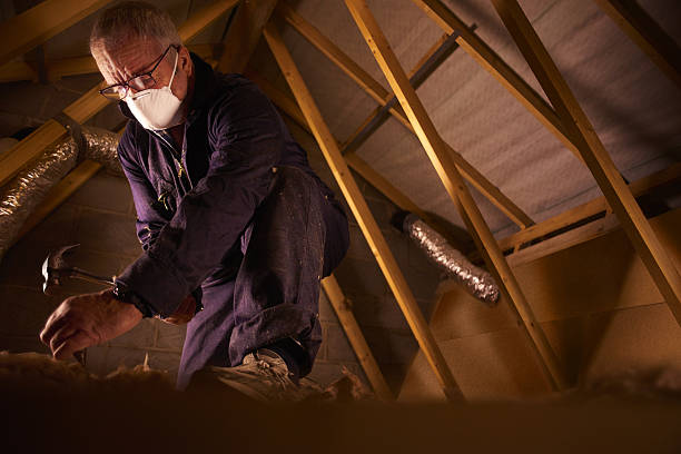 Professional Insulation Contractor in Morristown, IN